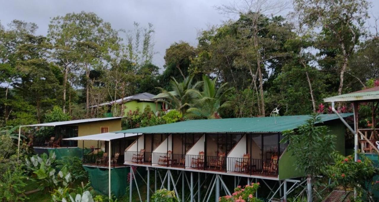 Hotel Cabinas Murillo Drake Bay Exterior foto
